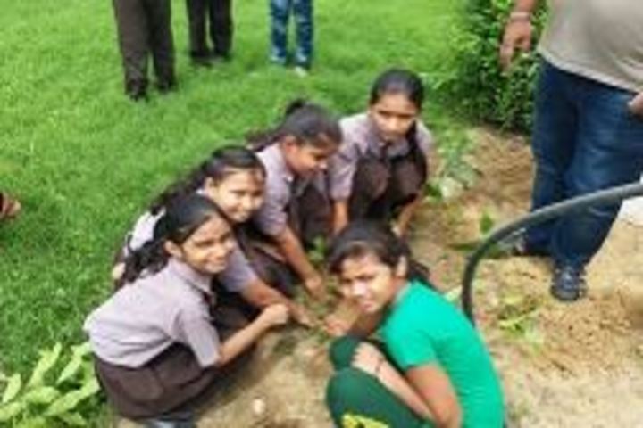 Bhagwan Das Pareek Dream School-Tree Planatation