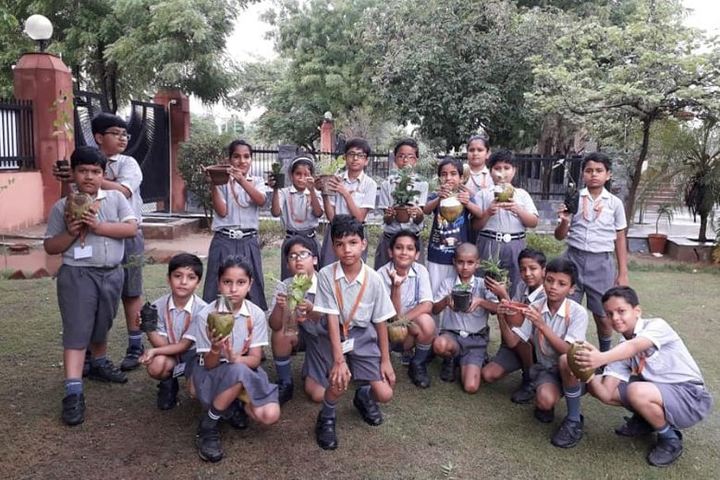 Bharatiya Vidya Bhavan Vidyashram-Tree Plantation