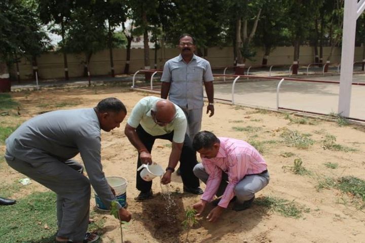Birla School-Tree Plantataion