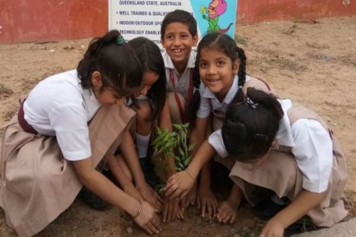 Calorx Public School-Tree Plantation