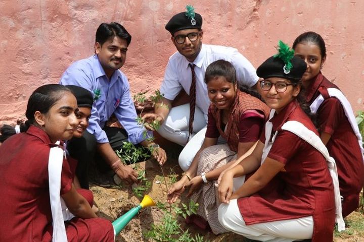 Central Academy-Tree Plantation