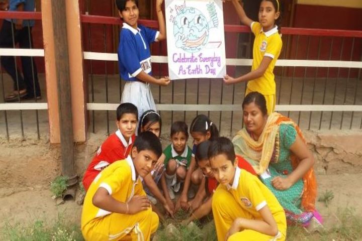 Central Academy-2-Activity