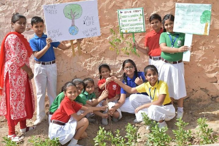 Central Academy School-Tree Plantation