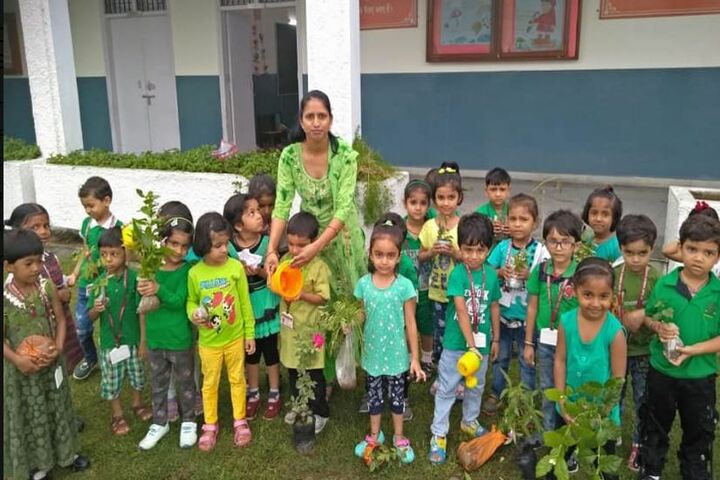 Chambal Fertilisers Dav Public School-Tree Plantation