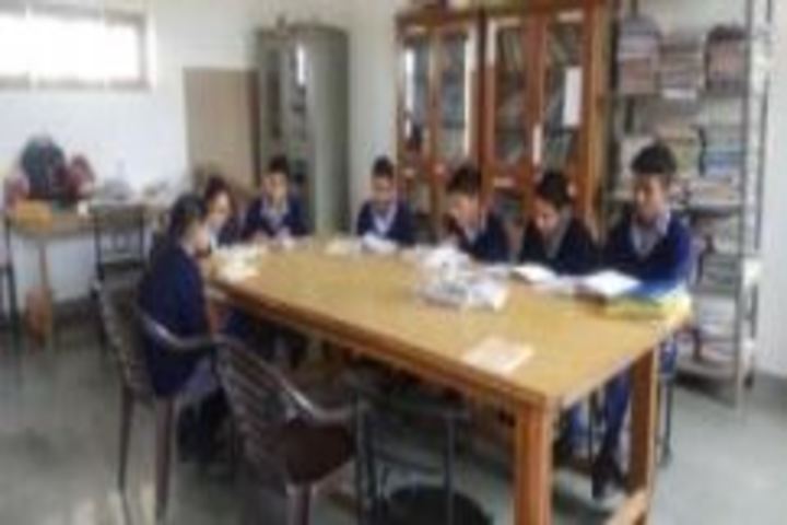 D V M Public School-Library