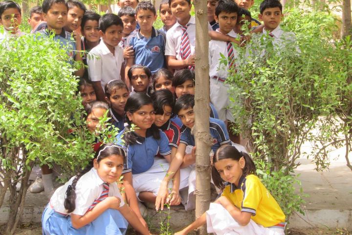 Dalmia Vidya Mandir-Tree Plantation
