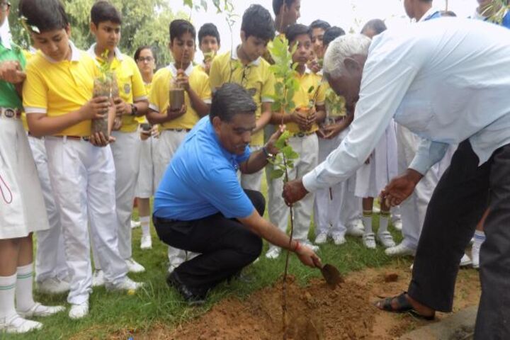 Dav Centenary Public School-Plantation