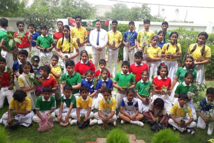 Dav Public School-Tree Plantation