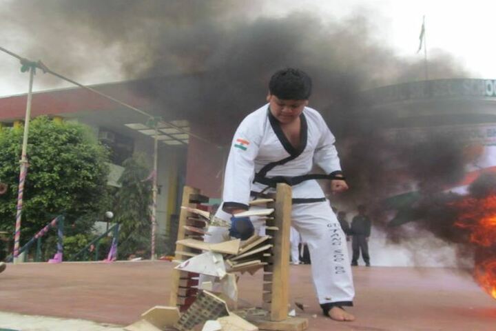 Delhi Public School-Karate
