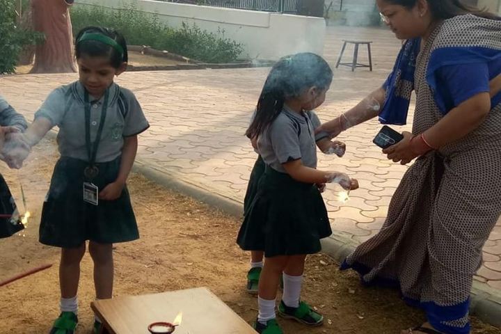 Delhi Public School-Festival Celebrations