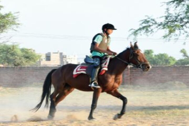 Delhi Public School Bikaner-Horse Riding