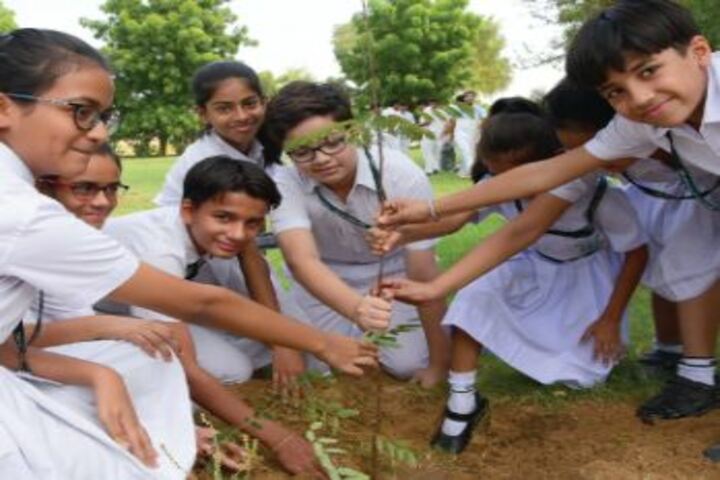 Delhi Public School Bikaner-Tree Plantation