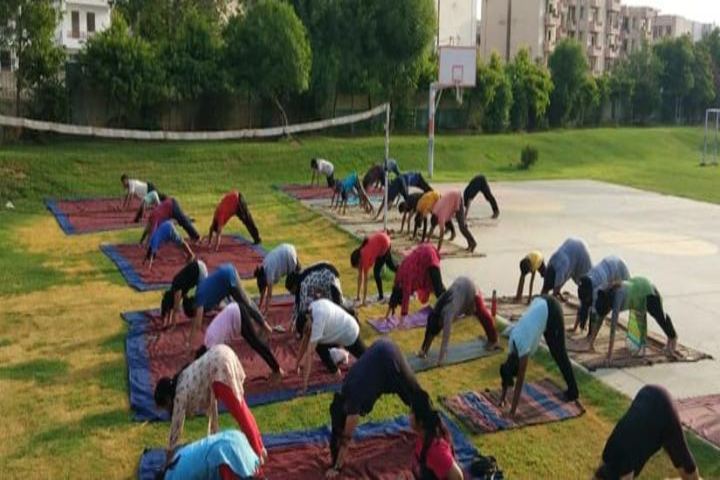 Dolphins High School-Yoga