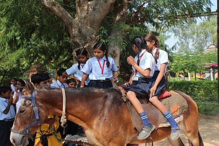 Dream International SchoolHorse Riding