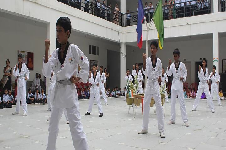Dream International SchoolKarate