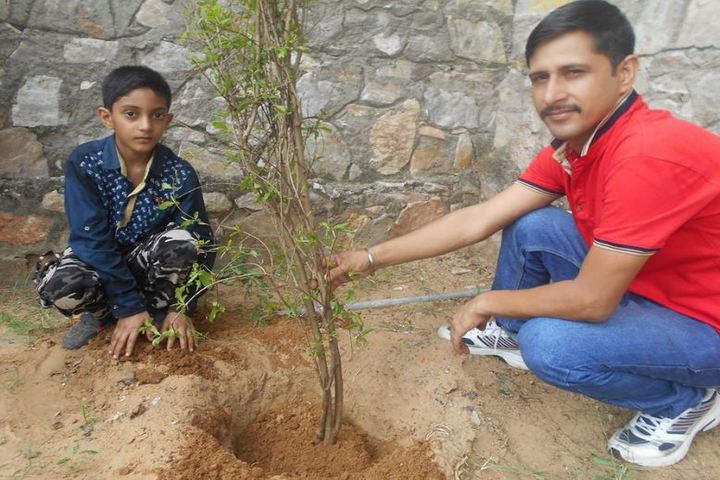 Edify World School-Tree Plantation