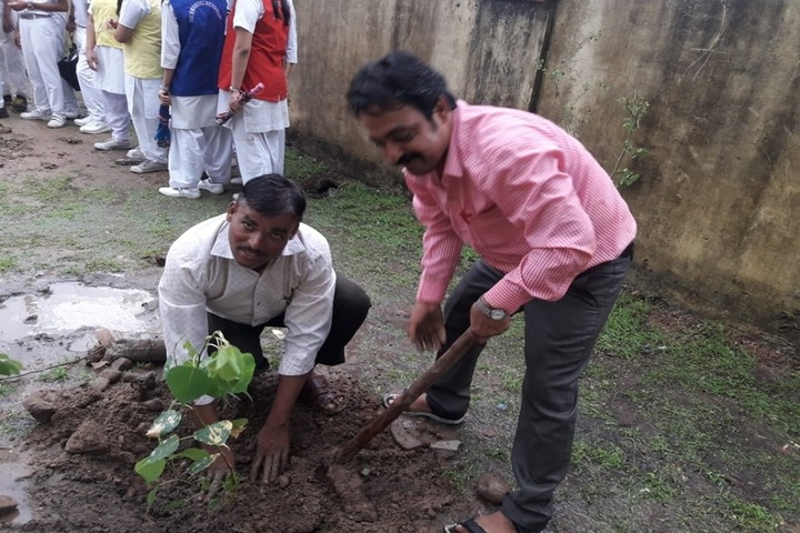 Emmanuel Senior Secondary School-Tree Plantation