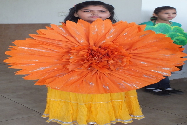 Evolution International School-Fancy Dress