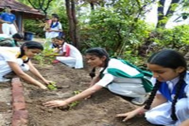 The Fabindia School-Tree Plantation