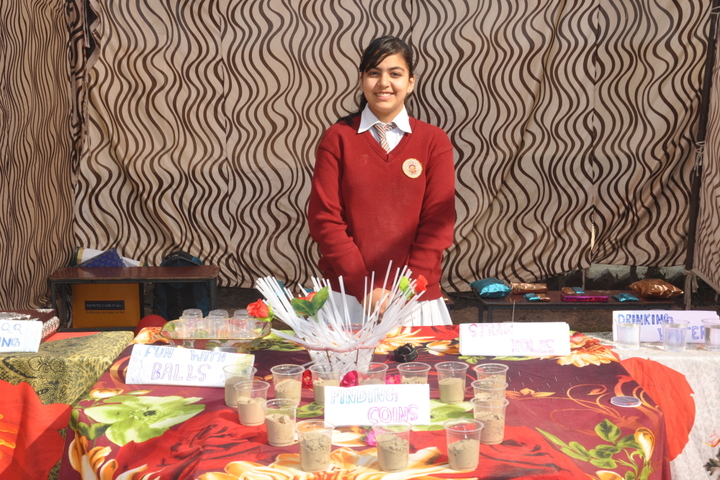 Ganganagar Public School-Stall