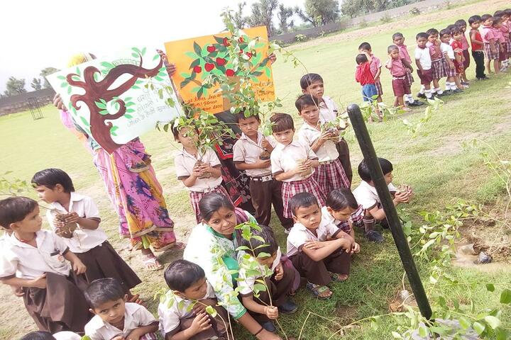 Global public school-Plantation Activity