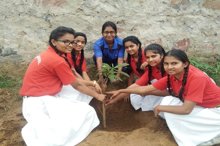 Hans International Senior Secondary School- Tree Plantation