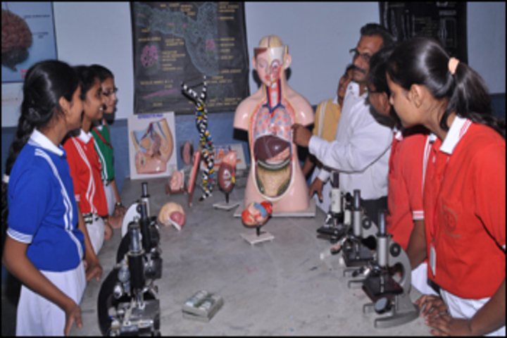 Hind Zinc School-Biology lab