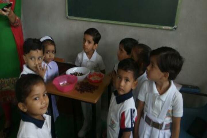 Indian Public School-Activity