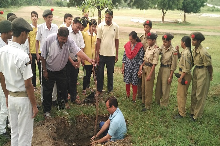 Jawahar Navodaya Vidyalaya-Plantation
