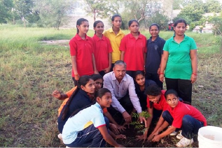 Jawahar Navodaya Vidyalaya-Tree Plantation