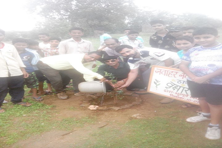 Jawahar Navodaya Vidyalaya-Tree Plantation