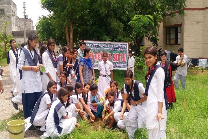 Jawahar Navodaya Vidyalaya-Plantation