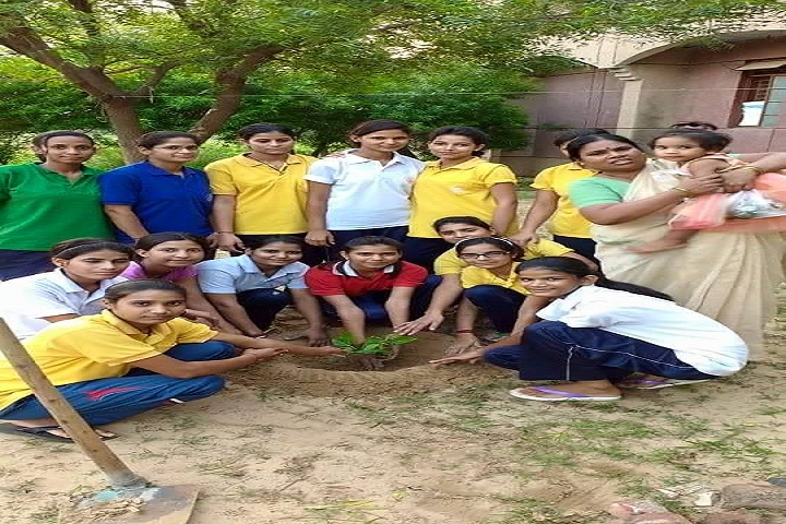 Jawahar Navodaya Vidyalaya-Tree Plantation