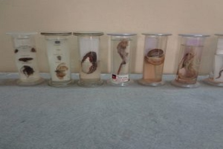 Jindal Public School-Biology Lab