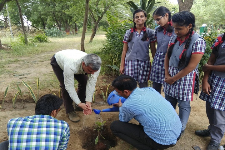 Kendriya Vidyalaya-Tree Plantation