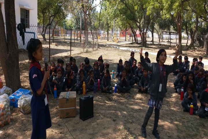 Kendriya Vidyalaya-Scouts and Guides