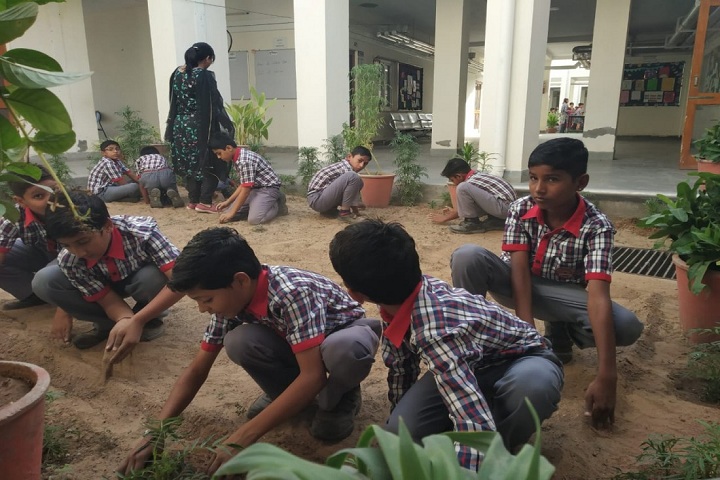 kendriya vidyalaya-Tree Plantation
