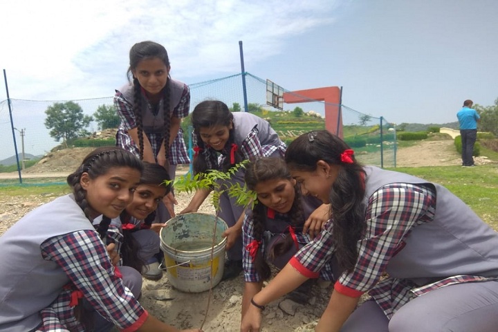 KENDRIYA VIDYALAYA-Tree Plantation