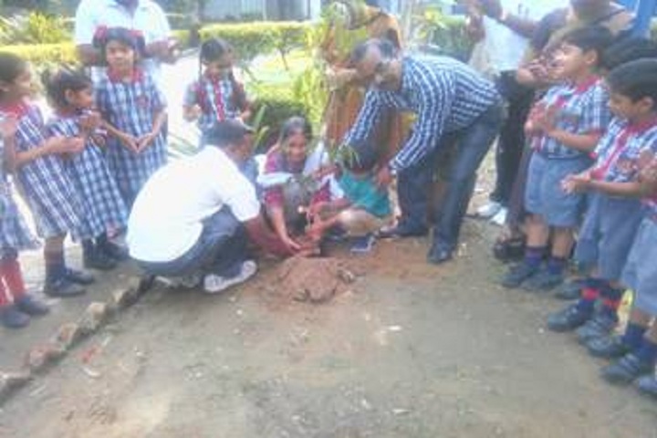 Kendriya Vidyalaya-Tree Plantation