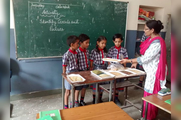 Conducting Various Activity for Students