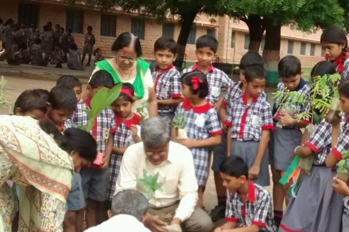 Tree Plantation Drive in School