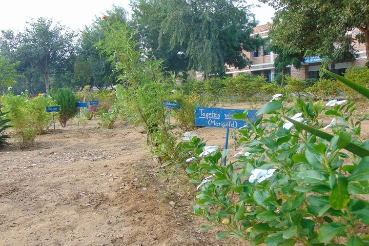 Kendriya Vidyalaya No 2-Garden