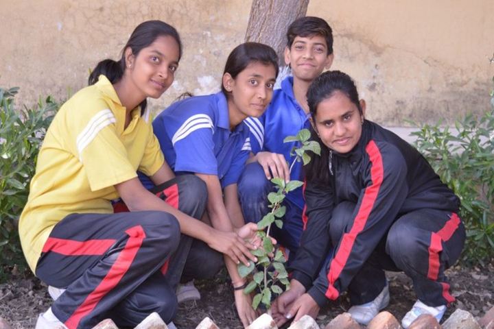 Lady Anusuya Singhania Educational Academy-Planting