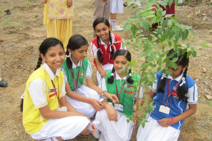 Lakshmipat Singhania School-Planting