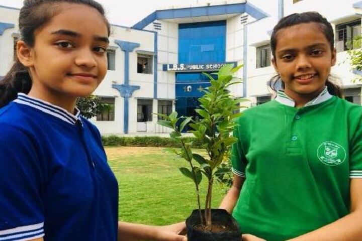 Lbs Public School-Planting
