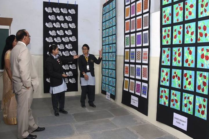 M S S Public School-Painting