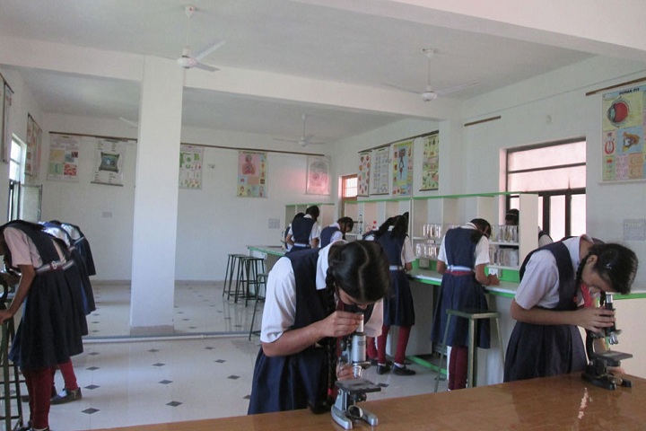 M B Public School-Biology labs
