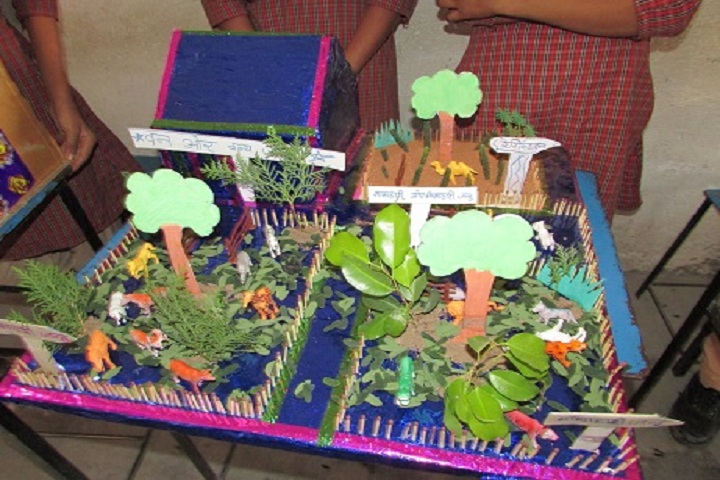 Mahaveer Public School-Exhibition