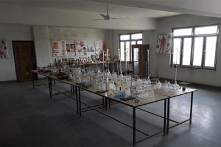 Manu Public School-Chemistry lab