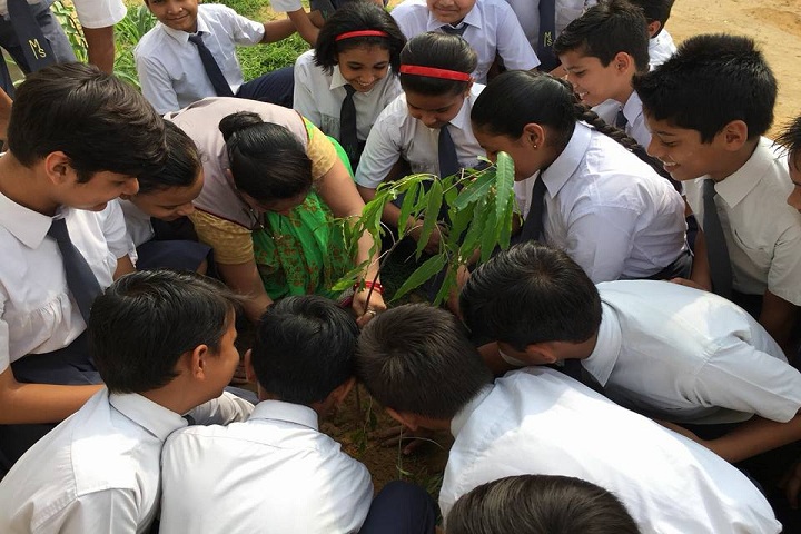 Modern School-Plantations